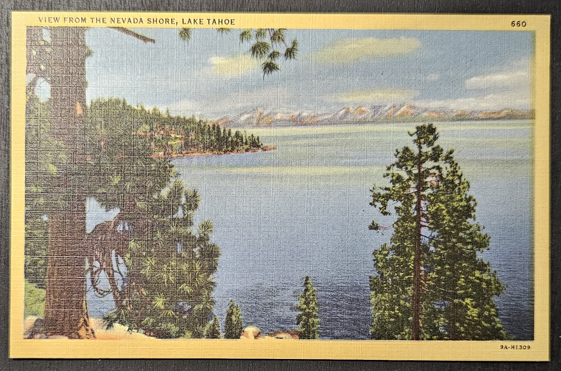 (image for) postcard USA - NV - Nevada #0002